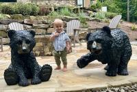 "Baby Bears"
Cast bronze life sized bear cubs
Other patina options available<br />
<a href="/gallery.html?gallery=View Baby Bears LS" target="_top">click here for additional photos of this piece</a>